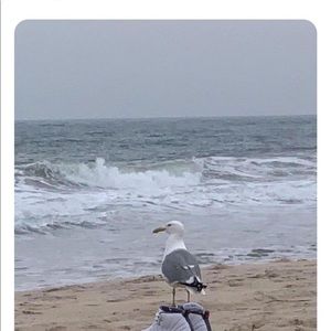 Meet your Posher, Joe